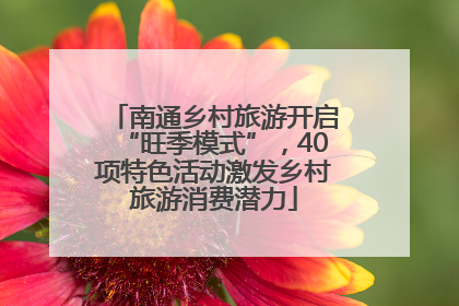 南通乡村旅游开启“旺季模式”，40项特色活动激发乡村旅游消费潜力