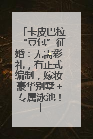 卡皮巴拉“豆包”征婚：无需彩礼，有正式编制，嫁妆豪华别墅＋专属泳池！