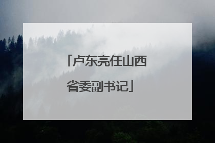 卢东亮任山西省委副书记