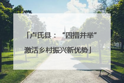 卢氏县：“四措并举”激活乡村振兴新优势
