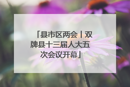 县市区两会丨双牌县十三届人大五次会议开幕