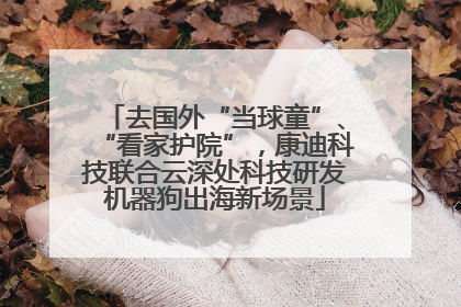 去国外“当球童”、“看家护院”，康迪科技联合云深处科技研发机器狗出海新场景