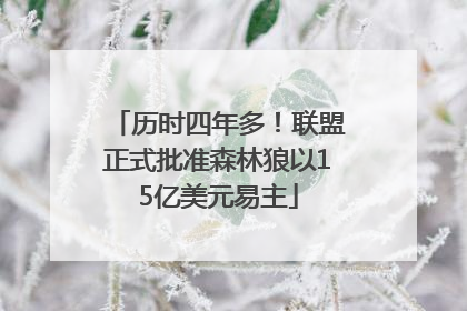 历时四年多！联盟正式批准森林狼以15亿美元易主