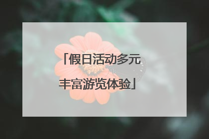假日活动多元 丰富游览体验