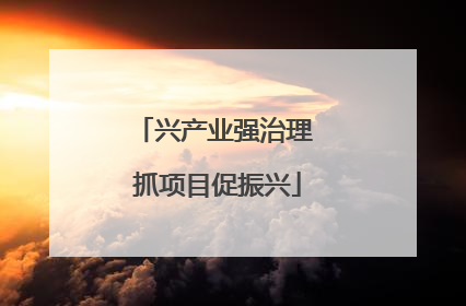 兴产业强治理 抓项目促振兴