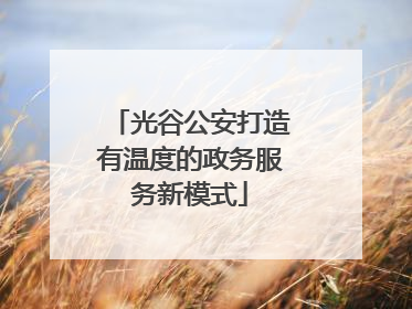 光谷公安打造有温度的政务服务新模式