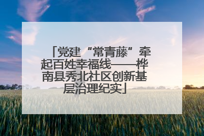 党建“常青藤”牵起百姓幸福线——桦南县秀北社区创新基层治理纪实