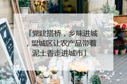 党建搭桥，乡味进城，望城区让农产品带着泥土香走进城市
