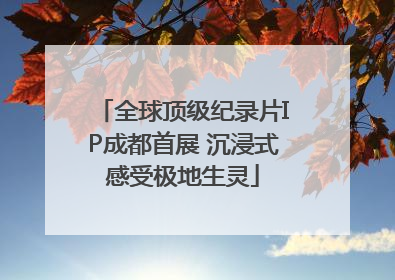 全球顶级纪录片IP成都首展 沉浸式感受极地生灵