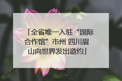 全省唯一入驻“国际合作馆”市州 四川眉山向世界发出邀约