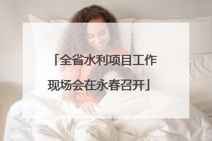 全省水利项目工作现场会在永春召开