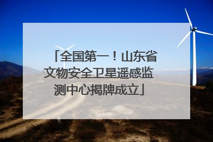 全国第一！山东省文物安全卫星遥感监测中心揭牌成立