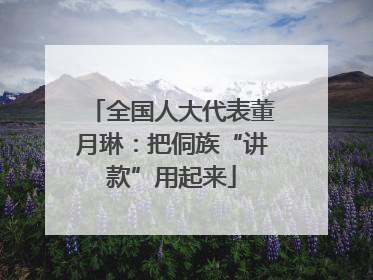全国人大代表董月琳：把侗族“讲款”用起来