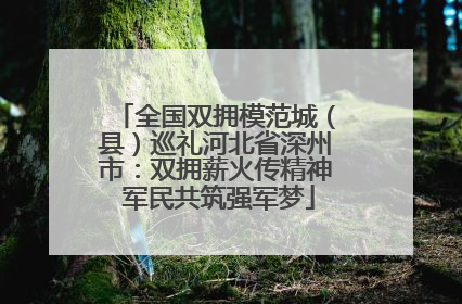 全国双拥模范城（县）巡礼河北省深州市：双拥薪火传精神 军民共筑强军梦