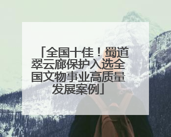 全国十佳！蜀道翠云廊保护入选全国文物事业高质量发展案例