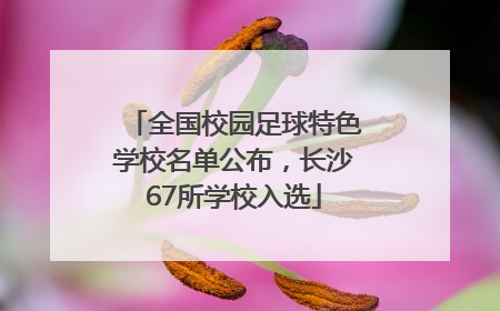 全国校园足球特色学校名单公布，长沙67所学校入选