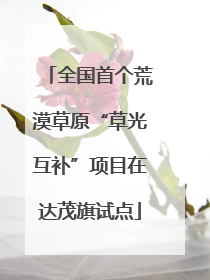 全国首个荒漠草原“草光互补”项目在达茂旗试点