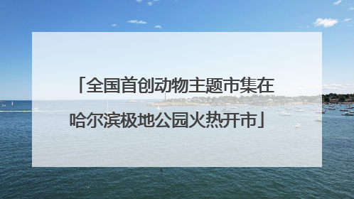 全国首创动物主题市集在哈尔滨极地公园火热开市