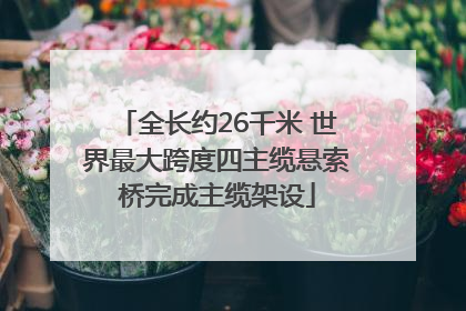 全长约26千米 世界最大跨度四主缆悬索桥完成主缆架设