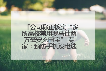 公司称正核实“多所高校禁用罗马仕两万毫安充电宝” 专家：预防手机没电选中等体积产品即可