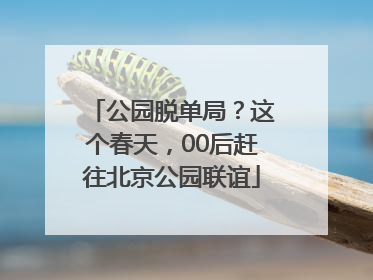 公园脱单局？这个春天，00后赶往北京公园联谊