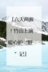 六天两救！竹山上演暖心护“野”记