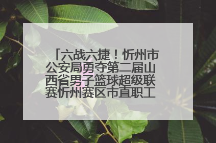 六战六捷！忻州市公安局勇夺第二届山西省男子篮球超级联赛忻州赛区市直职工组比赛冠军