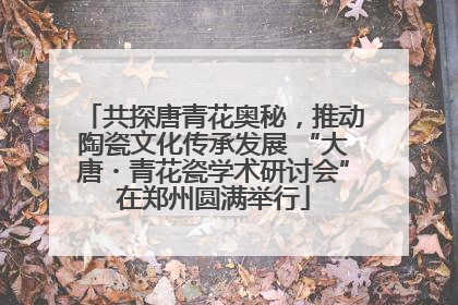 共探唐青花奥秘，推动陶瓷文化传承发展 “大唐・青花瓷学术研讨会”在郑州圆满举行