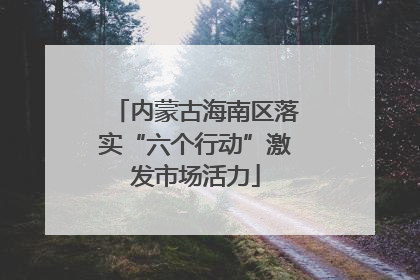 内蒙古海南区落实“六个行动”激发市场活力