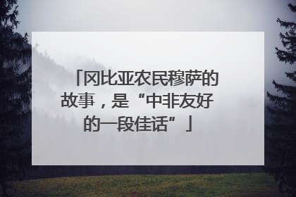 冈比亚农民穆萨的故事，是“中非友好的一段佳话”