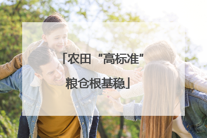 农田“高标准” 粮仓根基稳