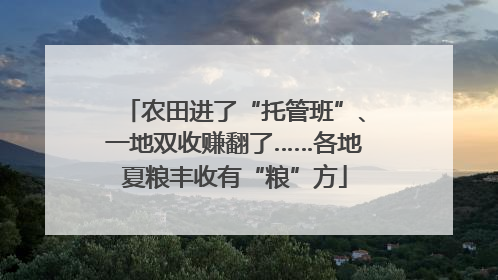 农田进了“托管班”、一地双收赚翻了……各地夏粮丰收有“粮”方