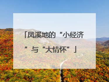 凤溪地的“小经济”与“大情怀”