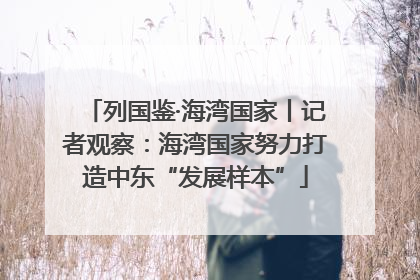列国鉴·海湾国家丨记者观察：海湾国家努力打造中东“发展样本”