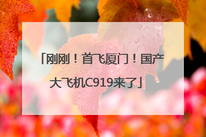 刚刚！首飞厦门！国产大飞机C919来了