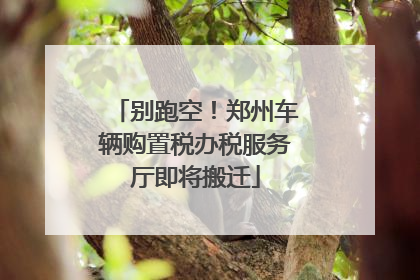 别跑空！郑州车辆购置税办税服务厅即将搬迁
