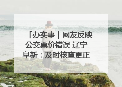 办实事｜网友反映公交票价错误 辽宁阜新：及时核查更正 加强实时巡检