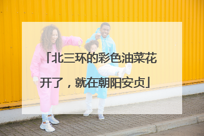北三环的彩色油菜花开了，就在朝阳安贞