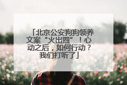 北京公安狗狗领养文案“火出圈”！心动之后，如何行动？我们打听了