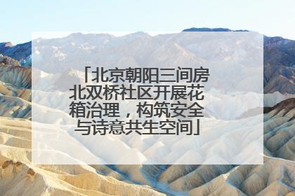北京朝阳三间房北双桥社区开展花箱治理，构筑安全与诗意共生空间