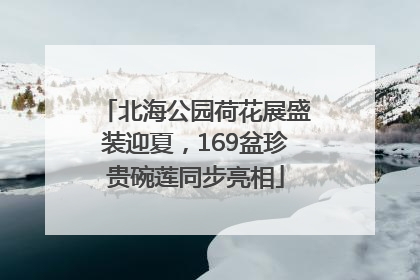 北海公园荷花展盛装迎夏，169盆珍贵碗莲同步亮相