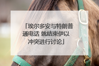 埃尔多安与特朗普通电话 就结束伊以冲突进行讨论