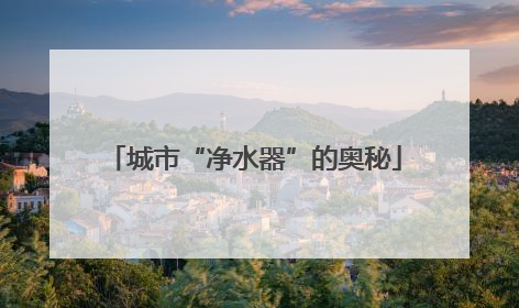 城市“净水器”的奥秘