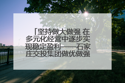 坚持做大做强 在多元化经营中逐步实现稳定盈利——石家庄交投集团做优做强典型报道之三