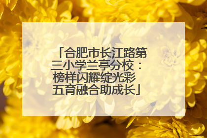 合肥市长江路第三小学兰亭分校：榜样闪耀绽光彩 五育融合助成长