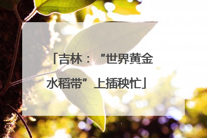 吉林：“世界黄金水稻带”上插秧忙