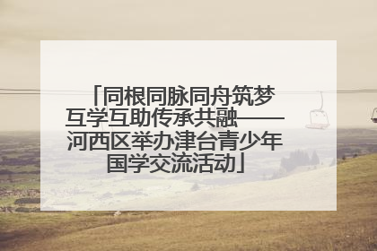 同根同脉同舟筑梦 互学互助传承共融——河西区举办津台青少年国学交流活动
