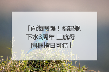 向海图强！福建舰下水3周年 三航母同框指日可待