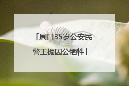 周口35岁公安民警王振因公牺牲