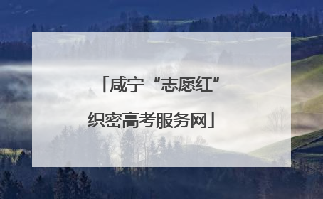 咸宁“志愿红”织密高考服务网